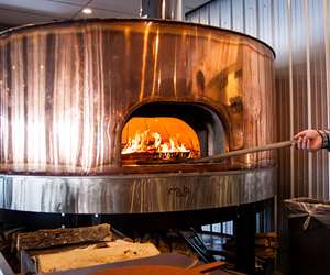 wood fired pizza oven